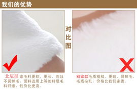 北辰星秋冬新款毛披肩 可愛新娘毛披肩 白色婚紗禮服旗袍小披肩